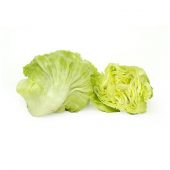 Lechuga Escarola