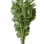 Albahaca Atado
