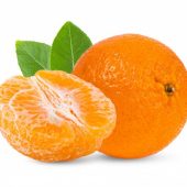 Mandarina KG